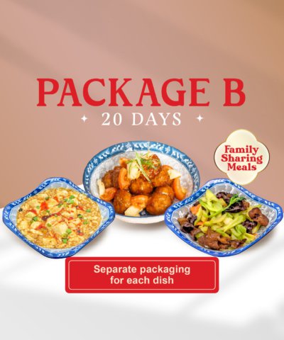 package b (20 days)