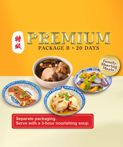 package b premium (20 days)